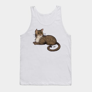 Cat - American Shorthair - Brown Tabby Tank Top